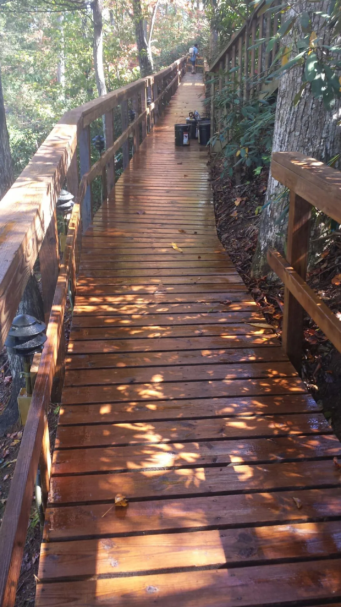 Freshly stained wood walkway winding through the woods in Fayetteville